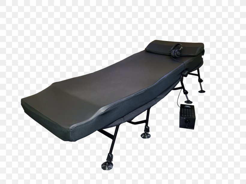 Pulsed Electromagnetic Field Therapy Magna Wave PEMF Horse Machine, PNG, 4032x3024px, Horse, Attachment Theory, Butterfly Loop, Comfort, Furniture Download Free