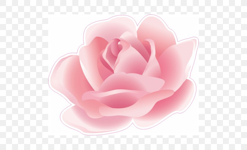 Flower Petal Garden Roses, PNG, 500x500px, Flower, Beach Rose, Flowering Plant, Garden Roses, Magenta Download Free