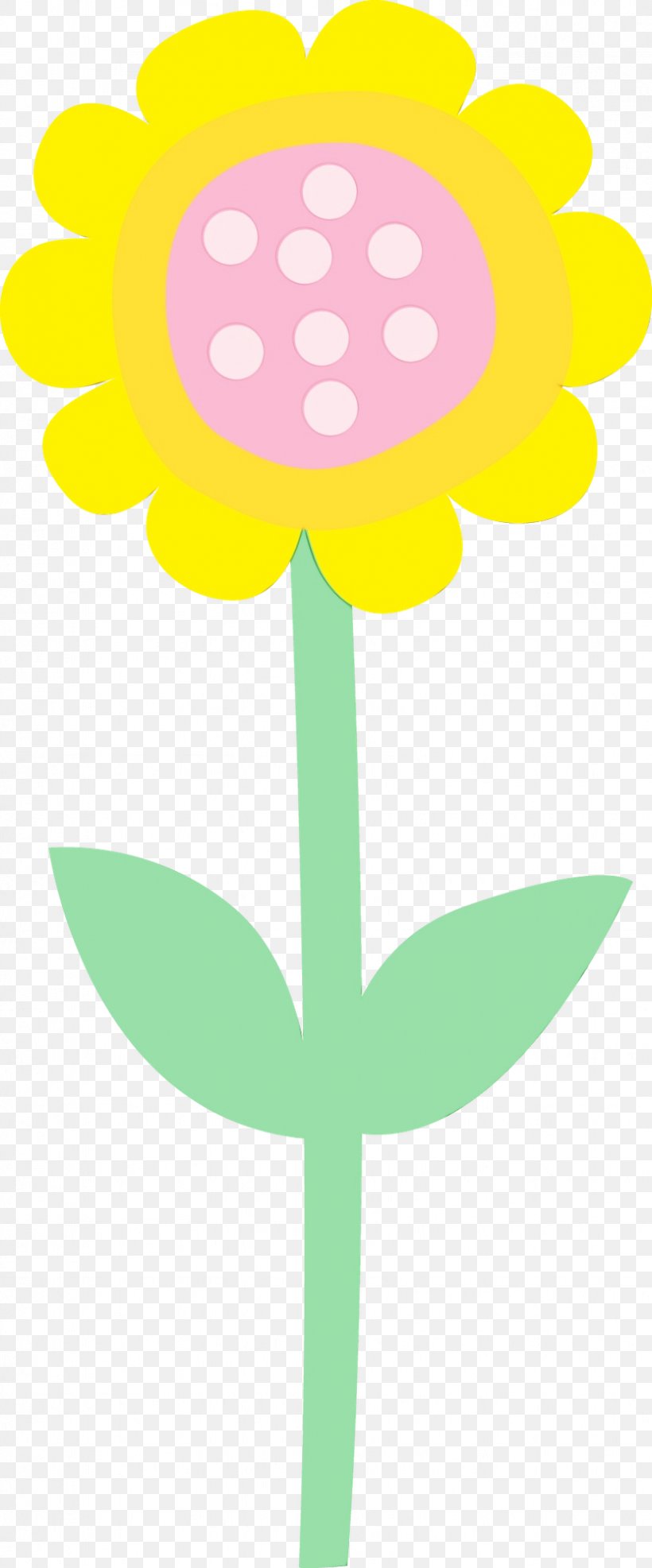 Plant Flower Petal Wildflower Plant Stem, PNG, 831x2000px, Watercolor, Flower, Paint, Petal, Plant Download Free