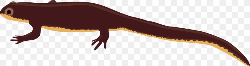 Salamander Newt Clip Art, PNG, 2400x641px, Salamander, Amphibian, Art, Dinosaur, Drawing Download Free