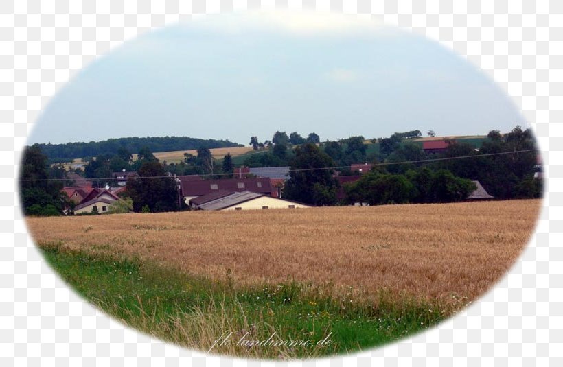 Schwäbisch Hall Anja Friederike Kämmerer Manz Historisches Stadthaus Farm, PNG, 785x535px, Farm, Agriculture, Equestrian Centre, Estate, Field Download Free