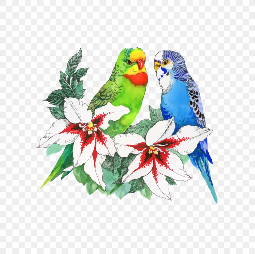 Vector Birds And Flowers, PNG, 1181x1181px, Bird, Art, Beak, Branch, Color Download Free
