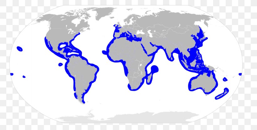 World Map Globe Shark, PNG, 1024x520px, World, Area, Blue, Cetacea, Country Download Free