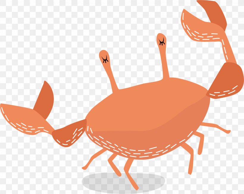 Dungeness Crab Illustration, PNG, 2045x1630px, Crab, Cangrejo, Christmas Island Red Crab, Cover Art, Decapoda Download Free