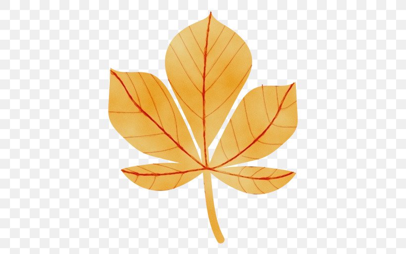 Leaf Maple Leaf / M Symmetry Biology Mathematics, PNG, 512x512px, Watercolor, Biology, Geometry, Leaf, Maple Leaf M Download Free