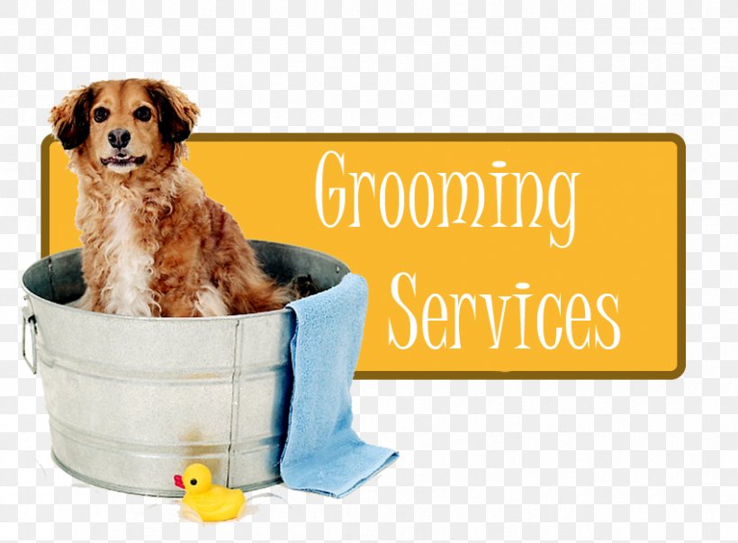 Puppy Partners Naturally Dog Breed Dog Grooming, PNG, 849x625px, Puppy, Breed, Carnivoran, Companion Dog, Dog Download Free