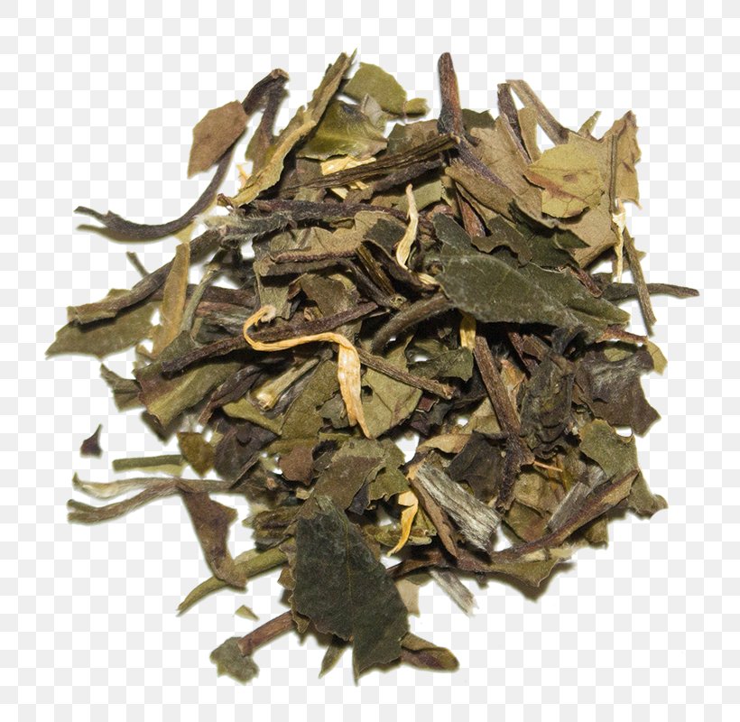 White Tea Bai Mudan Golden Monkey Tea Nilgiri Tea, PNG, 800x800px, White Tea, Arunachal Pradesh, Assam Tea, Bai Mudan, Bancha Download Free