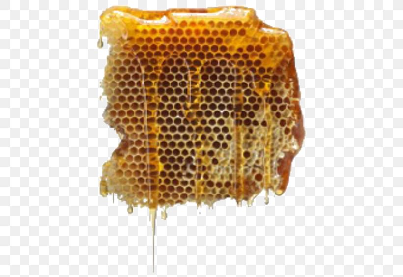 Beehive Honey Beekeeping Apiary, PNG, 564x564px, Bee, Apiary, Beehive, Beekeeper, Beekeeping Download Free
