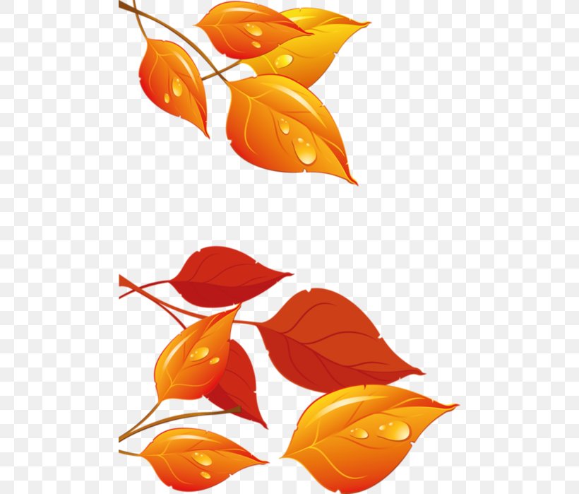 Desktop Wallpaper Clip Art, PNG, 484x699px, Autumn Leaf Color, Artwork, Autumn, Drop, Fish Download Free