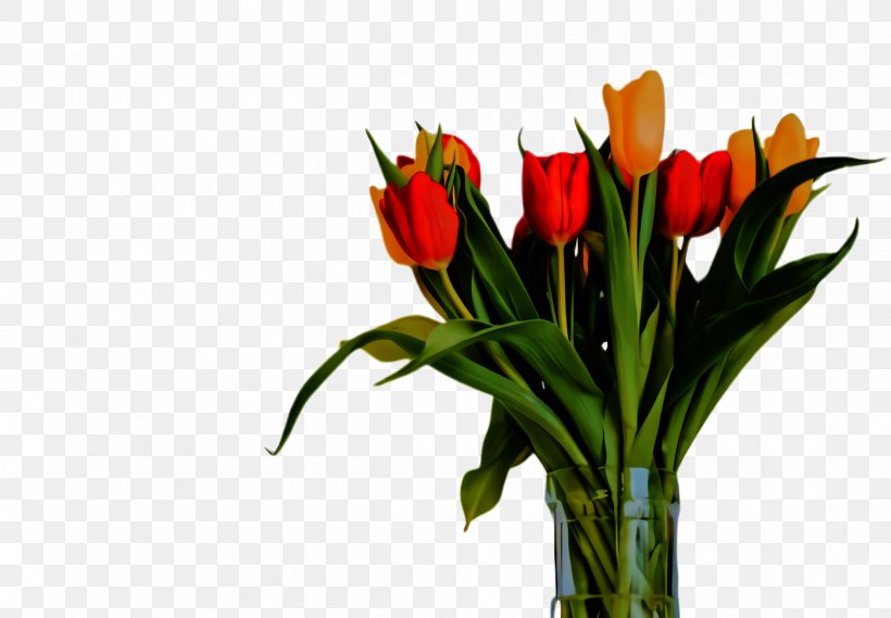 Lily Flower Cartoon, PNG, 2400x1668px, Tulip, Anthurium, Artificial Flower, Blossom, Botany Download Free