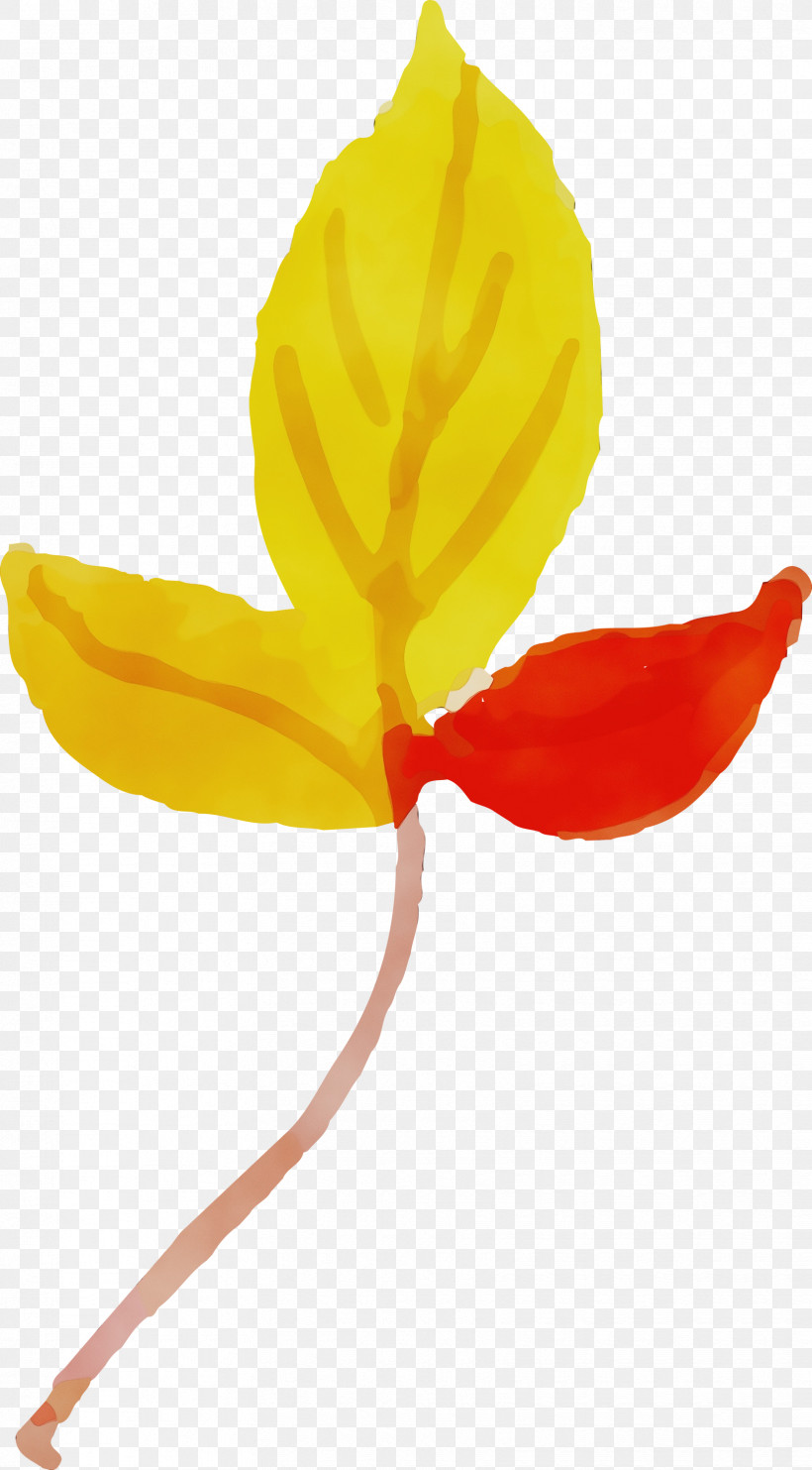 Plant Stem Petal Leaf Yellow Flower, PNG, 1658x3000px, Watercolor Autumn, Biology, Colorful Leaf, Flower, Leaf Download Free