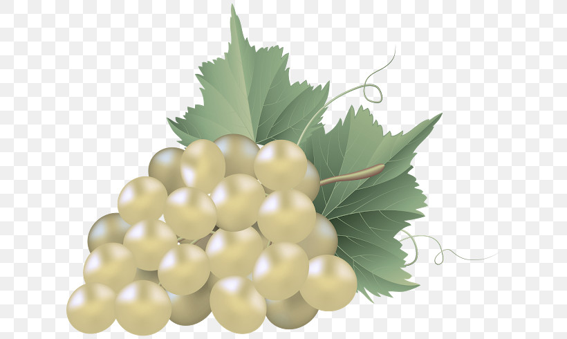 Grape Leaf Grapevine Family Grape Leaves Plant, PNG, 640x490px, Grape, Berry, Food, Fruit, Grape Leaves Download Free