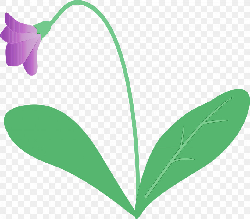 Leaf Plant Stem Petal Flower Green, PNG, 3000x2628px, Violet Flower, Biology, Flora, Flower, Green Download Free