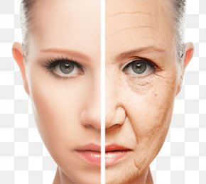 Face - Wrinkle Skin Ageing Cosmetics Anti-aging Cream PNG