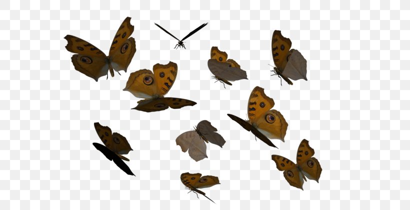 Butterfly Butterflies Fly Image Fluttering Butterflies, PNG, 600x420px, Butterfly, Beak, Bird, Butterflies And Moths, Butterflies Fly Download Free
