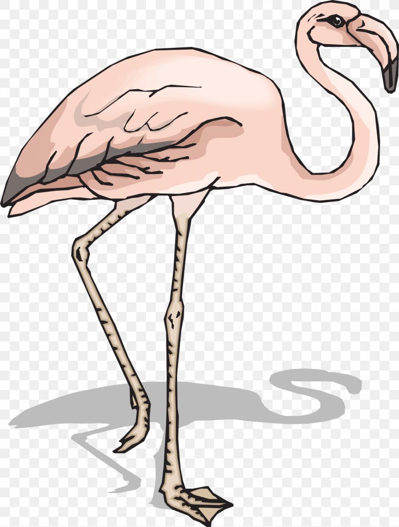 Clip Art, PNG, 1456x1920px, Flamingo, Beak, Bird, Crane Like Bird, Document Download Free