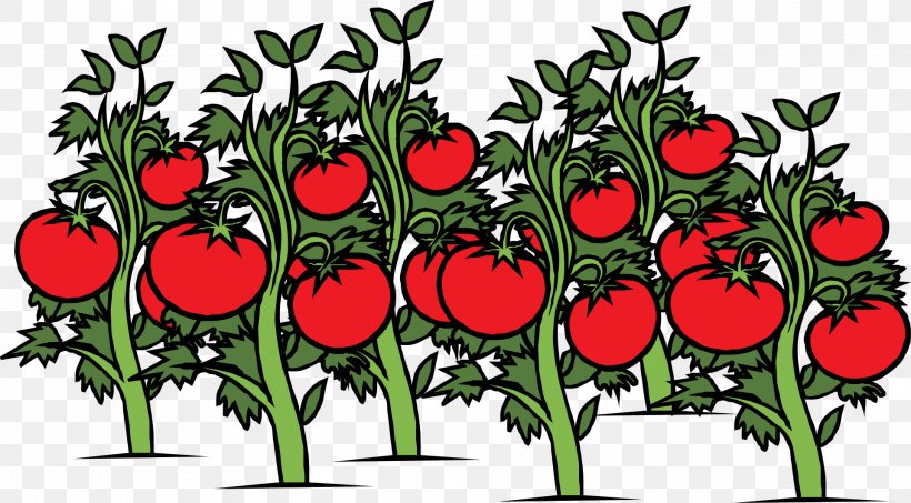Garden Vegetable Cherry Tomato Clip Art, PNG, 1920x1062px, Garden, Cherry Tomato, Cut Flowers, Drawing, Eggplant Download Free
