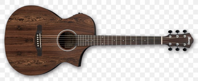 NAMM Show Schecter Guitar Research Electric Guitar Ibanez, PNG, 1340x549px, Namm Show, Acoustic Electric Guitar, Acoustic Guitar, Acousticelectric Guitar, Archtop Guitar Download Free