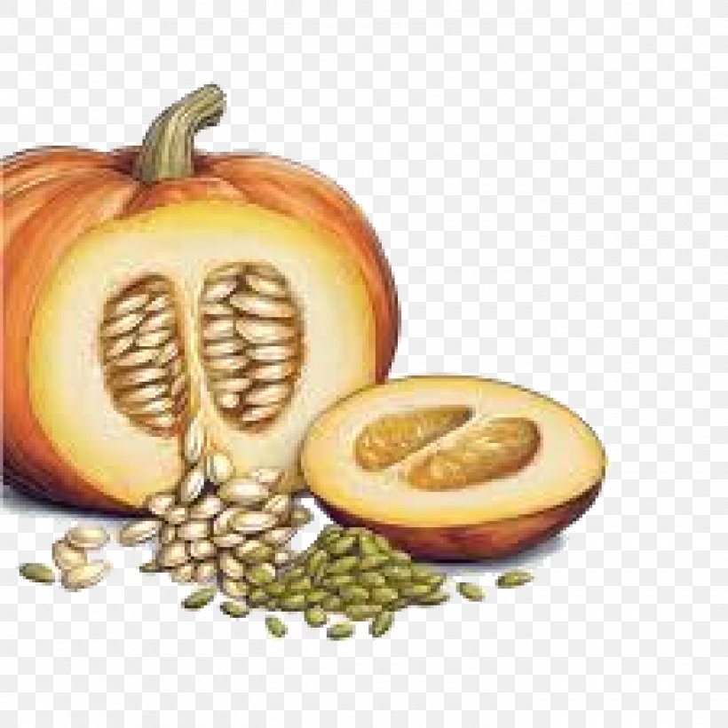 Pumpkin Bread Squash Soup Pumpkin Pie Pumpkin Seed, PNG, 1400x1400px, Watercolor, Cartoon, Flower, Frame, Heart Download Free