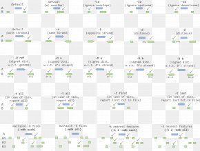 Cheat Sheet PNG Images, Download free Cheat Sheet Transparent PNGs