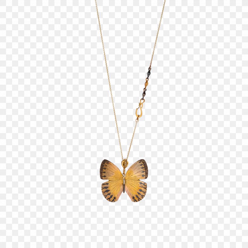 Locket Necklace Moth Amber, PNG, 3000x3000px, Locket, Amber, Butterfly, Fashion Accessory, Insect Download Free