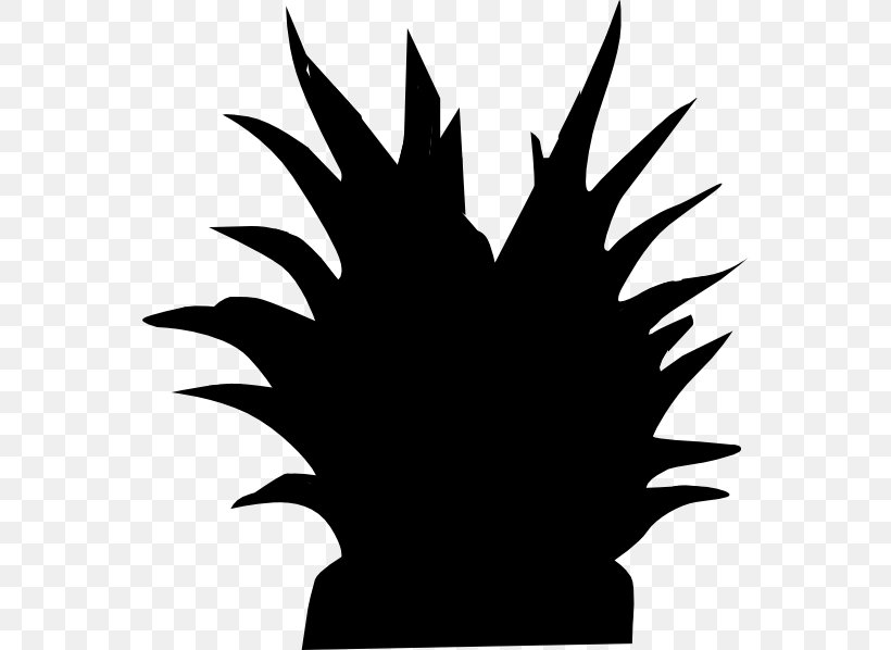 Plant Silhouette Tree Clip Art, PNG, 558x598px, Plant, Black And White, Flower, Flowering Plant, Leaf Download Free