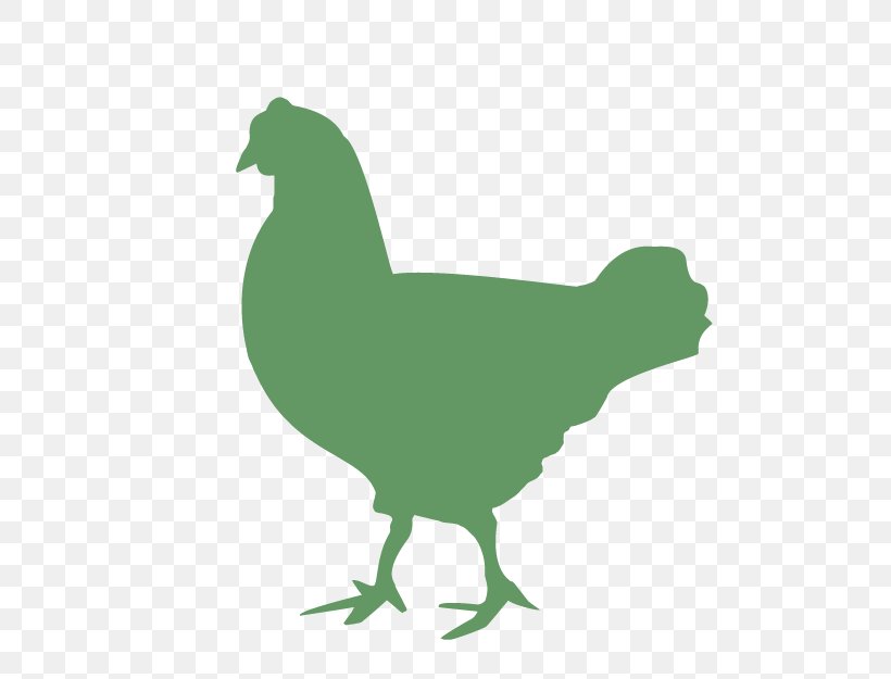 Rooster Chicken Duck Cattle Broiler, PNG, 625x625px, Rooster, Beak, Bird, Broiler, Cattle Download Free