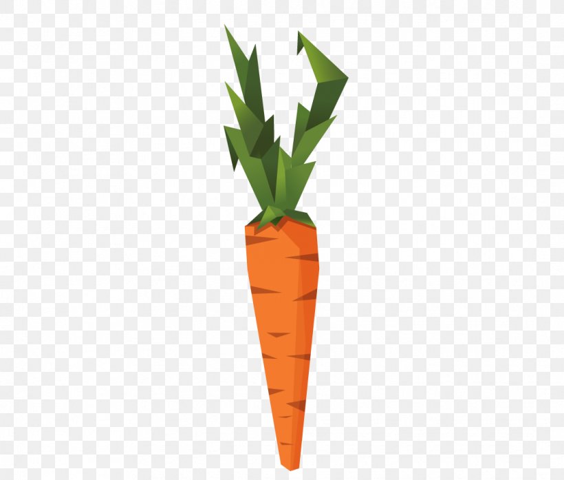 Carrot Vegetable Euclidean Vector Radish, PNG, 1085x923px, Carrot, Carrot Creative, Carrot Seed Oil, Daucus Carota, Flowerpot Download Free