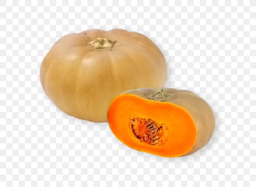 Cucurbita Winter Squash Butternut Squash Pumpkin Spaghetti Squash, PNG, 600x600px, Cucurbita, Butternut Squash, Calabaza, Cauliflower, Cooking Download Free