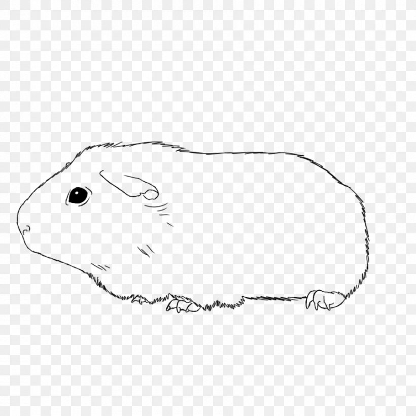 American Guinea Pig Drawing Coloring Book Clip Art, PNG, 900x900px, Pig, Adult, American Guinea Pig, Animal, Area Download Free