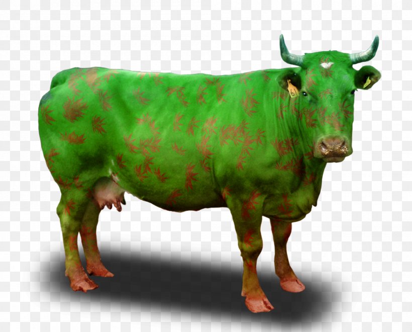 Beef Cattle Clip Art, PNG, 1000x805px, Beef Cattle, Bull, Cattle, Cattle Like Mammal, Cow Goat Family Download Free