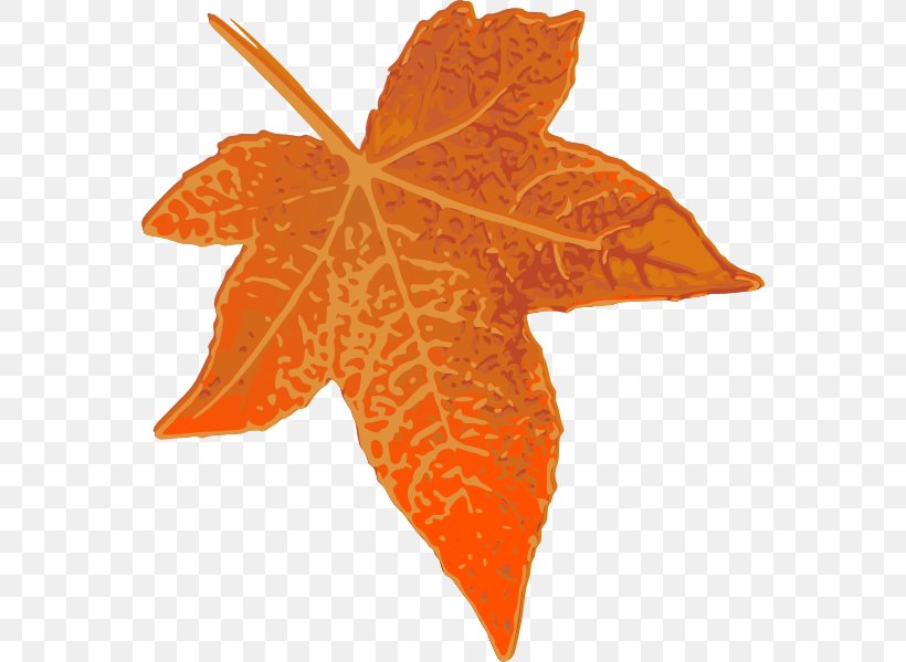 Maple Leaf Orange Autumn Clip Art, PNG, 564x599px, Leaf, Autumn, Autumn Leaf Color, Drawing, Green Download Free