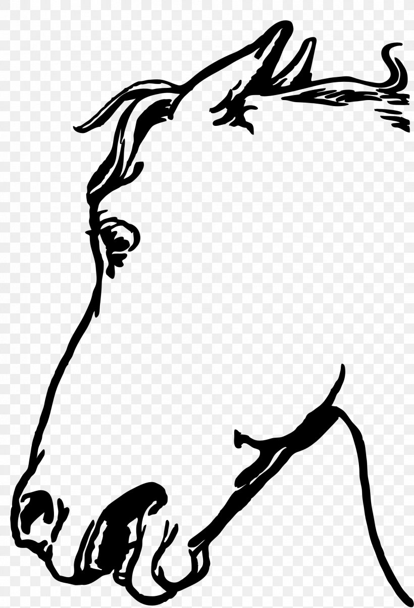 YouTube Horse Borders And Frames Clip Art, PNG, 1979x2904px, Youtube, Art, Artwork, Black, Black And White Download Free