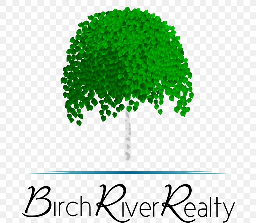 Birch River Realty Birch River Drive Achasta Tree Brand, PNG, 717x717px, Achasta, Area, Brand, Dahlonega, Georgia Download Free