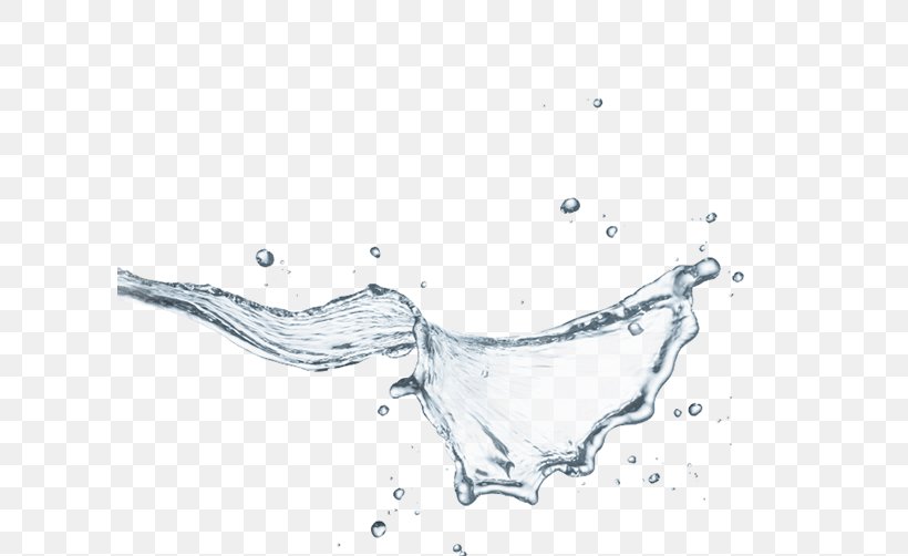 Line Art Water Sketch, PNG, 608x502px, Line Art, Animal, Artwork, Black And White, Drawing Download Free