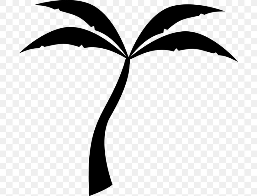 Coconut Tree Drawing, PNG, 700x625px, Palm Trees, Arecales, Blackandwhite, Coconut, Drawing Download Free