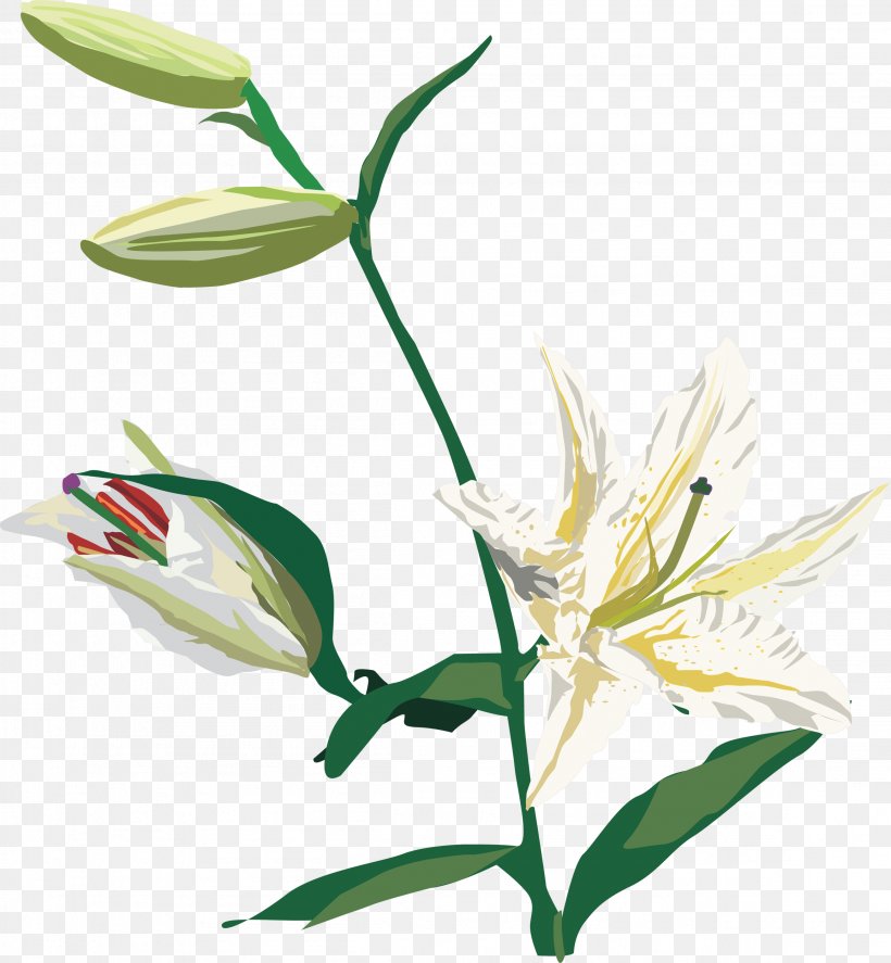 Cut Flowers Lilium Plant Clip Art, PNG, 2311x2500px, Flower, Cut Flowers, Dahlia, Flora, Flowering Plant Download Free