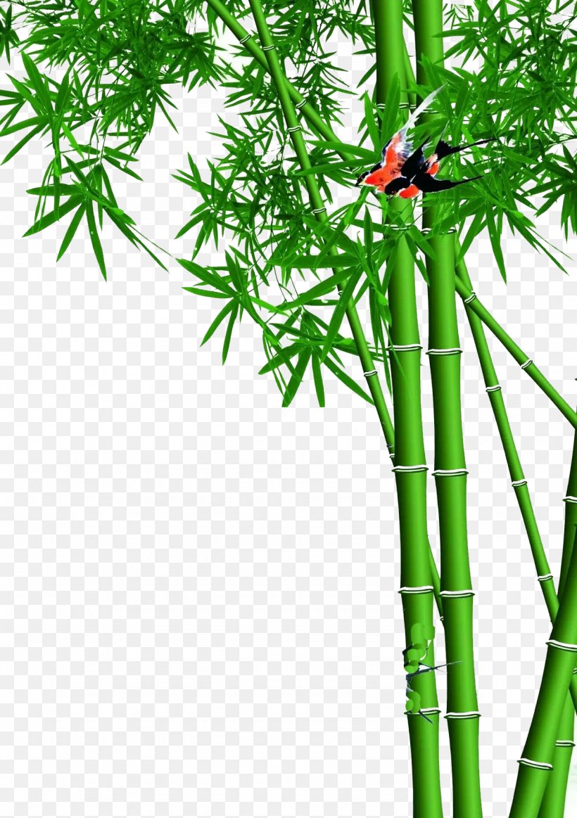 Lucky Bamboo Wall Wallpaper, PNG, 1280x1816px, Bamboo, Bedroom, Branch,  Grass, House Download Free