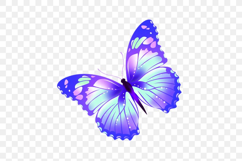 Butterfly, PNG, 551x548px, 3d Computer Graphics, Butterfly, Brush Footed Butterfly, Butterfly Effect, Cartoon Download Free