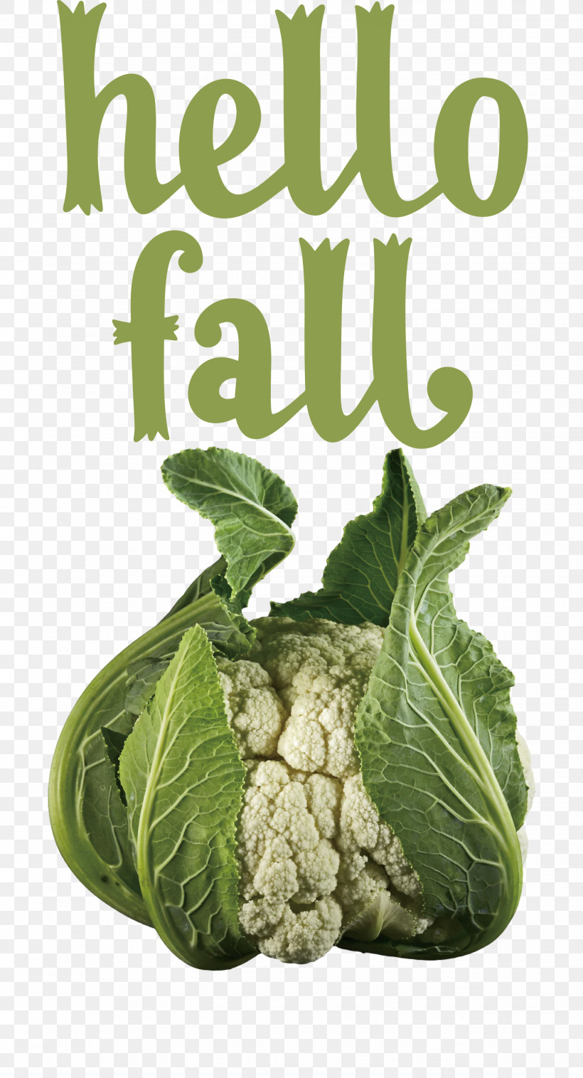Hello Fall Fall Autumn, PNG, 1623x3000px, Hello Fall, Autumn, Cauliflower, Collard, Fall Download Free
