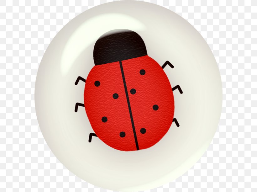 Insect Ladybird Beetle, PNG, 600x612px, Insect, Animal, Bee, Butterfly, Dishware Download Free