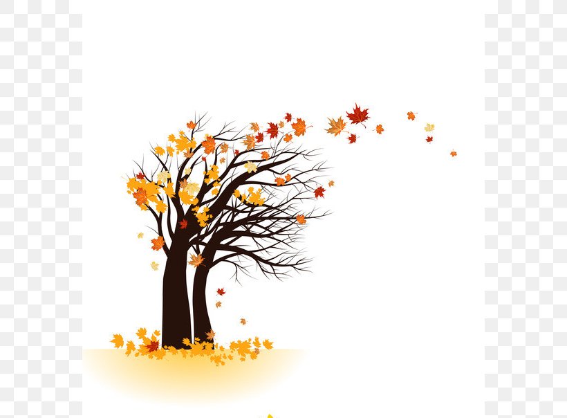 Tree Clip Art, PNG, 582x604px, Tree, Autumn, Branch, Floral Design, Flower Download Free