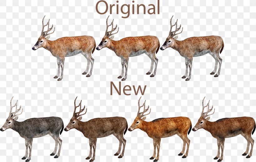White-tailed Deer Elk Zoo Tycoon 2 Musk Deers, PNG, 924x586px, Deer, Animal, Antelope, Antler, Barrenground Caribou Download Free