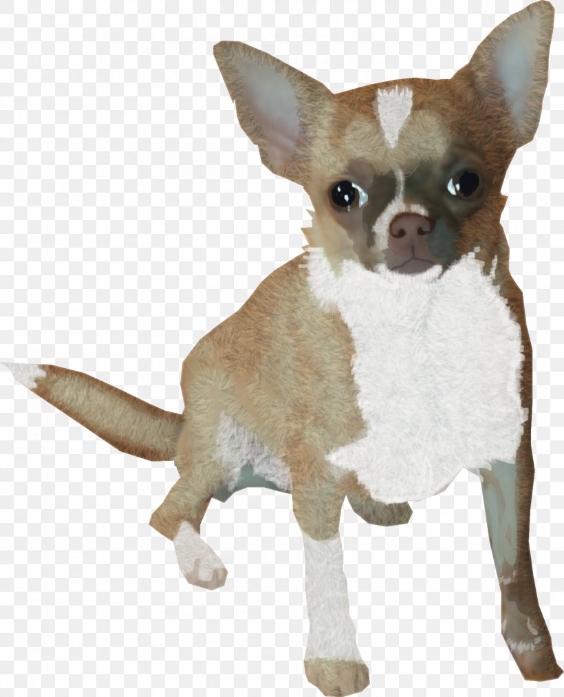 Chihuahua Puppy Dog Breed Companion Dog Toy Dog, PNG, 1470x1816px, Chihuahua, Animal Husbandry, Breed, Breed Group Dog, Carnivoran Download Free