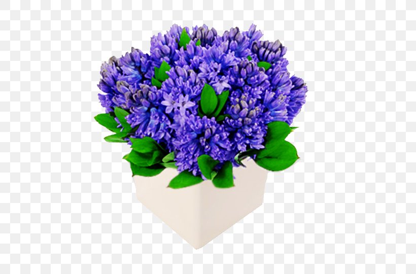 Hyacinth Flower Bouquet Wedding Cut Flowers, PNG, 540x540px, Hyacinth, Annual Plant, Artificial Flower, Blue, Brides Download Free