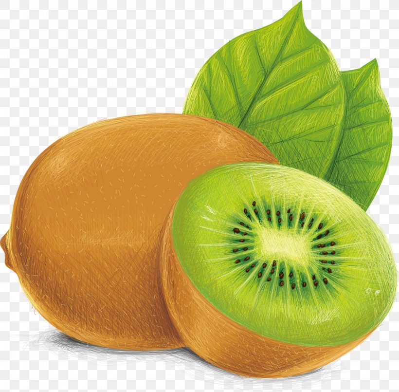 Kiwifruit Vecteur Illustration, PNG, 926x910px, Kiwifruit, Auglis, Drawing, Food, Fruit Download Free