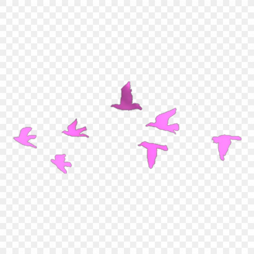 Bird Flight Swallow Flock Tattoo, PNG, 2000x2000px, Bird, Abziehtattoo, Animal, Animal Migration, Bird Flight Download Free