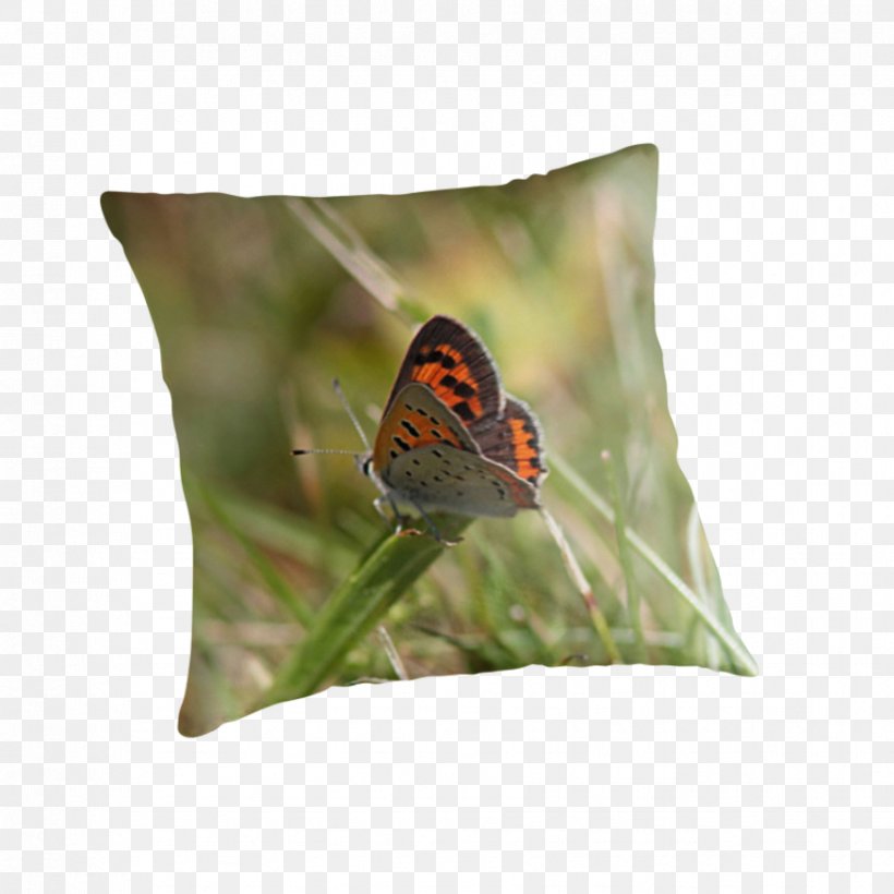 Butterfly Insect Pollinator Nymphalidae Cushion, PNG, 875x875px, Butterfly, Brush Footed Butterfly, Butterflies And Moths, Cushion, Insect Download Free