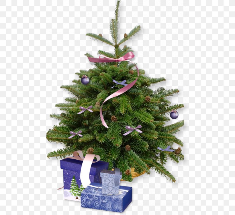 Christmas Tree Cultivation Pine, PNG, 500x753px, Walsall, Artificial Christmas Tree, Christmas, Christmas Decoration, Christmas Ornament Download Free