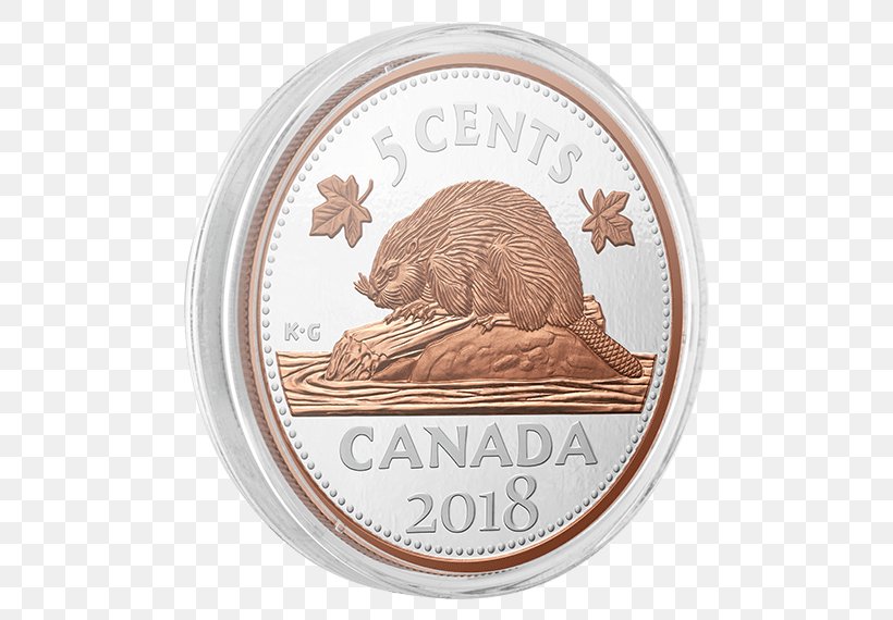 Coin Animal, PNG, 570x570px, Coin, Animal, Currency, Money Download Free